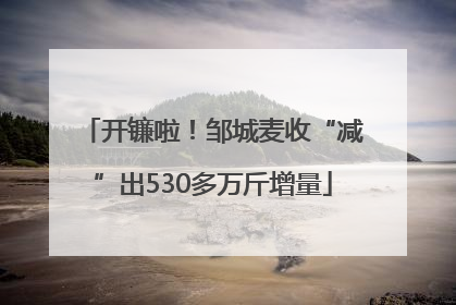 开镰啦！邹城麦收“减”出530多万斤增量