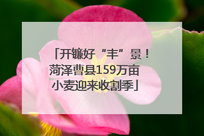 开镰好“丰”景！菏泽曹县159万亩小麦迎来收割季