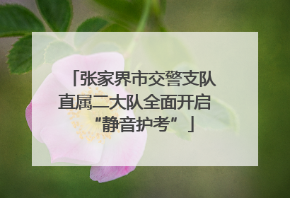 张家界市交警支队直属二大队全面开启“静音护考”