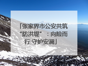 张家界市公安共筑“防洪堤”：向险而行 守护安澜
