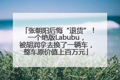 张朝阳后悔“退货”！一个绝版Labubu，被胡润拿去换了一辆车，整车原价值上百万元