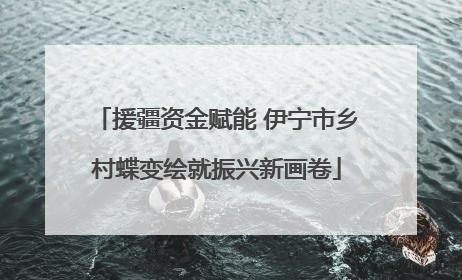 援疆资金赋能 伊宁市乡村蝶变绘就振兴新画卷