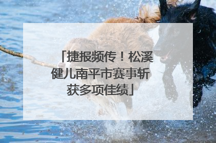 捷报频传！松溪健儿南平市赛事斩获多项佳绩