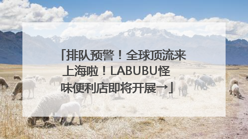 排队预警！全球顶流来上海啦！LABUBU怪味便利店即将开展→