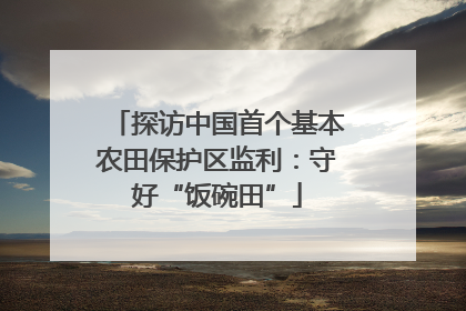 探访中国首个基本农田保护区监利：守好“饭碗田”