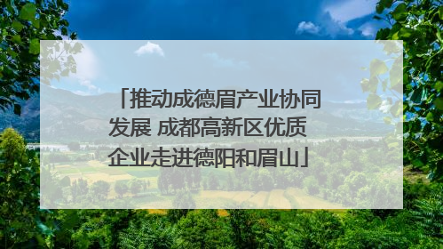 推动成德眉产业协同发展 成都高新区优质企业走进德阳和眉山
