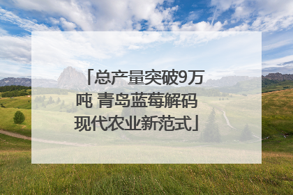 总产量突破9万吨 青岛蓝莓解码现代农业新范式