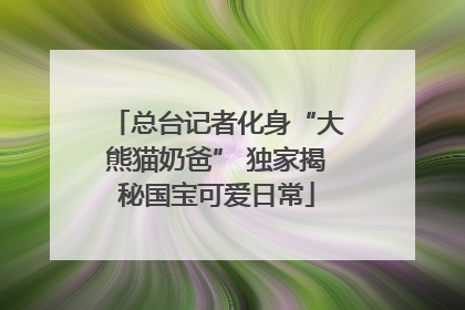 总台记者化身“大熊猫奶爸” 独家揭秘国宝可爱日常