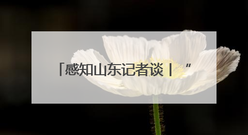 感知山东记者谈丨“小公交”大作为 驱动乡村振兴新引擎