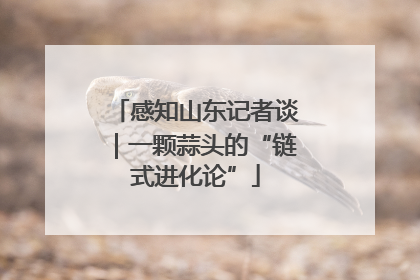 感知山东记者谈｜一颗蒜头的“链式进化论”