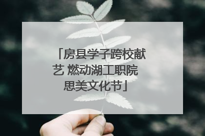 房县学子跨校献艺 燃动湖工职院思美文化节