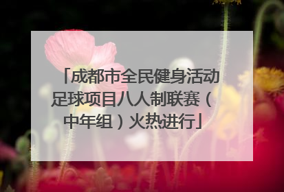 成都市全民健身活动足球项目八人制联赛（中年组）火热进行