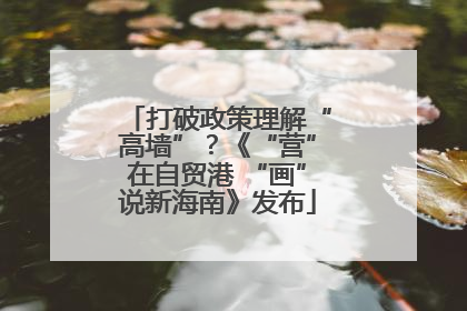 打破政策理解“高墙”？《“营”在自贸港 “画”说新海南》发布