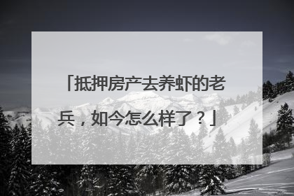 抵押房产去养虾的老兵，如今怎么样了？