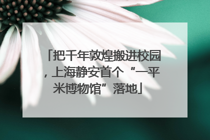 把千年敦煌搬进校园，上海静安首个“一平米博物馆”落地