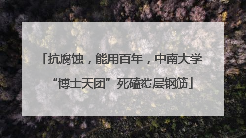 抗腐蚀，能用百年，中南大学“博士天团”死磕覆层钢筋