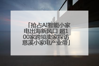 抢占AI智能小家电出海新风口 超100家跨境卖家探访慈溪小家电产业带