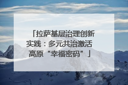 拉萨基层治理创新实践：多元共治激活高原“幸福密码”