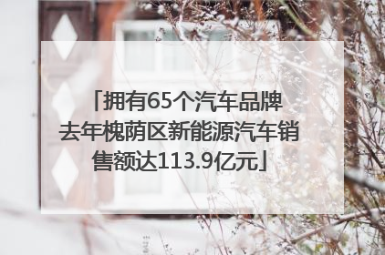 拥有65个汽车品牌 去年槐荫区新能源汽车销售额达113.9亿元