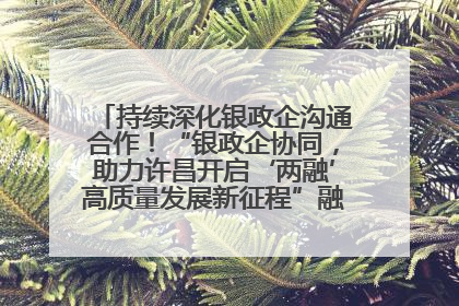 持续深化银政企沟通合作！“银政企协同，助力许昌开启‘两融’高质量发展新征程”融资对接会举行
