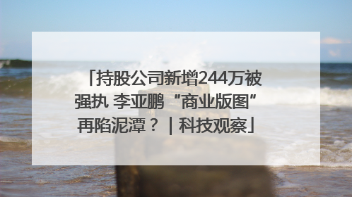 持股公司新增244万被强执 李亚鹏“商业版图”再陷泥潭？｜科技观察