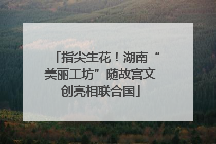 指尖生花！湖南“美丽工坊”随故宫文创亮相联合国
