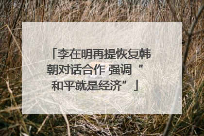 李在明再提恢复韩朝对话合作 强调“和平就是经济”