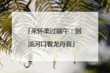 来怀柔过端午：到汤河口看龙舟赛