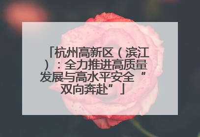 杭州高新区（滨江）：全力推进高质量发展与高水平安全“双向奔赴”
