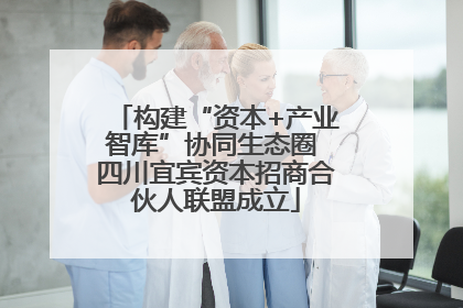 构建“资本+产业智库”协同生态圈 四川宜宾资本招商合伙人联盟成立