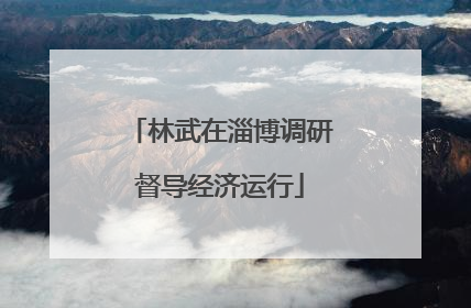 林武在淄博调研督导经济运行
