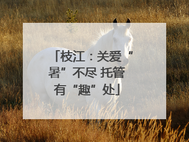 枝江：关爱“暑”不尽 托管有“趣”处