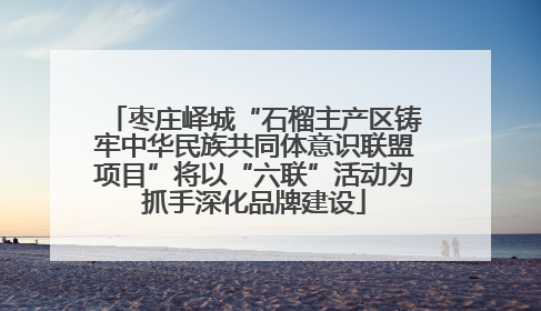枣庄峄城“石榴主产区铸牢中华民族共同体意识联盟项目”将以“六联”活动为抓手深化品牌建设
