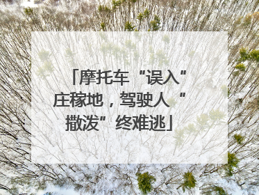 摩托车“误入”庄稼地，驾驶人“撒泼”终难逃