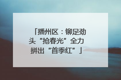 播州区：铆足劲头“抢春光”全力拼出“首季红”