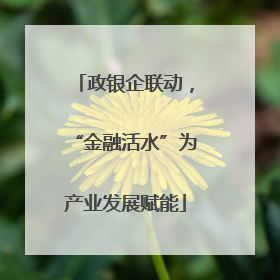 政银企联动，“金融活水”为产业发展赋能