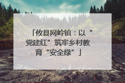 攸县网岭镇：以“党建红”筑牢乡村教育“安全绿”