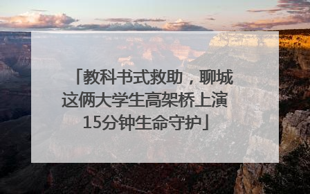 教科书式救助，聊城这俩大学生高架桥上演15分钟生命守护
