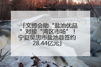 文博会助“盐池优品”对接“湾区市场”！宁夏吴忠市盐池县签约28.44亿元