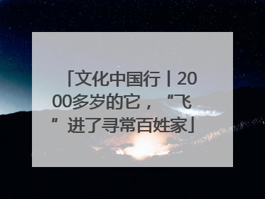 文化中国行丨2000多岁的它，“飞”进了寻常百姓家