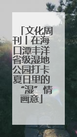 文化周刊丨在海口潭丰洋省级湿地公园打卡夏日里的“湿”情画意