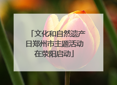 文化和自然遗产日郑州市主题活动在荥阳启动