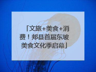 文旅+美食+消费！郏县首届东坡美食文化季启幕