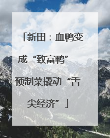 新田：血鸭变成“致富鸭” 预制菜撬动“舌尖经济”