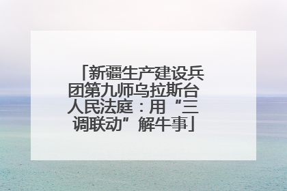 新疆生产建设兵团第九师乌拉斯台人民法庭：用“三调联动”解牛事