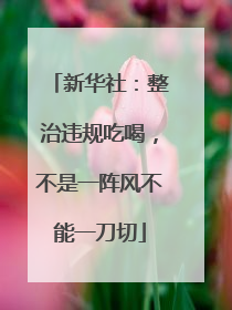 新华社：整治违规吃喝，不是一阵风不能一刀切