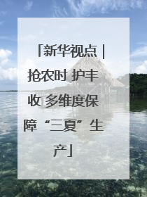 新华视点｜抢农时 护丰收 多维度保障“三夏”生产