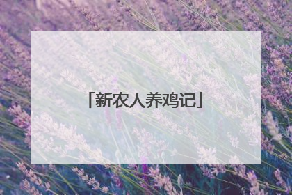 新农人养鸡记