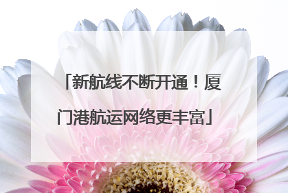 新航线不断开通！厦门港航运网络更丰富