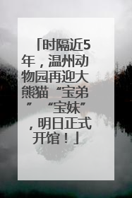 时隔近5年，温州动物园再迎大熊猫“宝弟”“宝妹”，明日正式开馆！